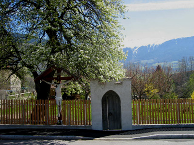 Fioritura a Glorenza